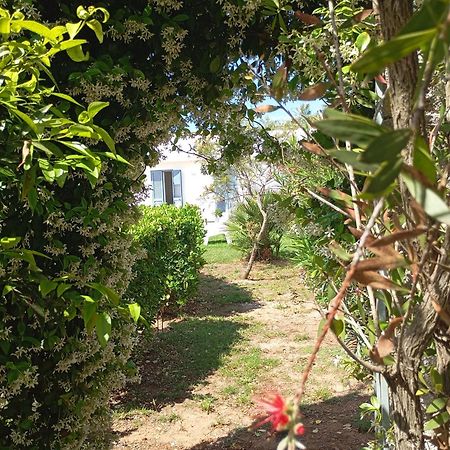 Li Curti B&B Melissano Exterior photo