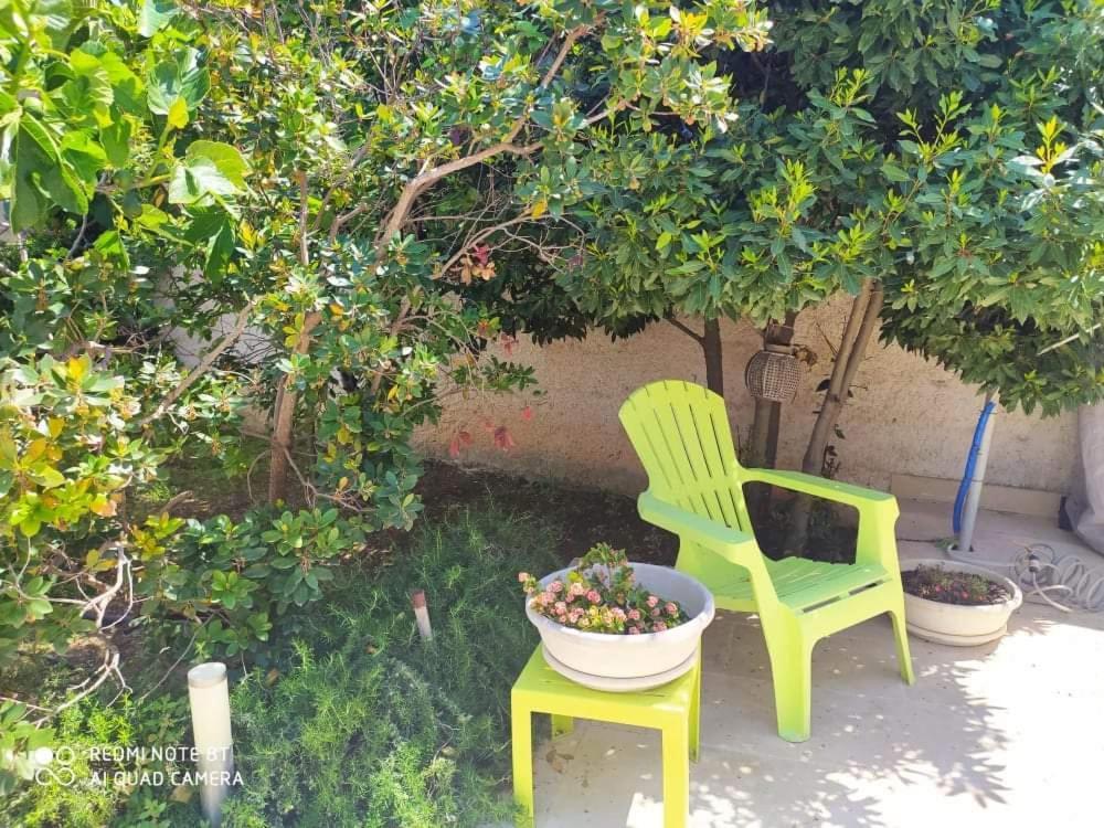 Li Curti B&B Melissano Exterior photo