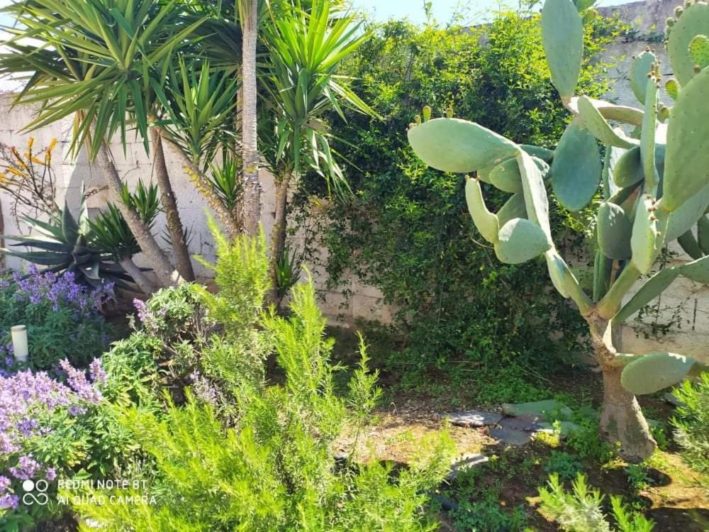 Li Curti B&B Melissano Exterior photo