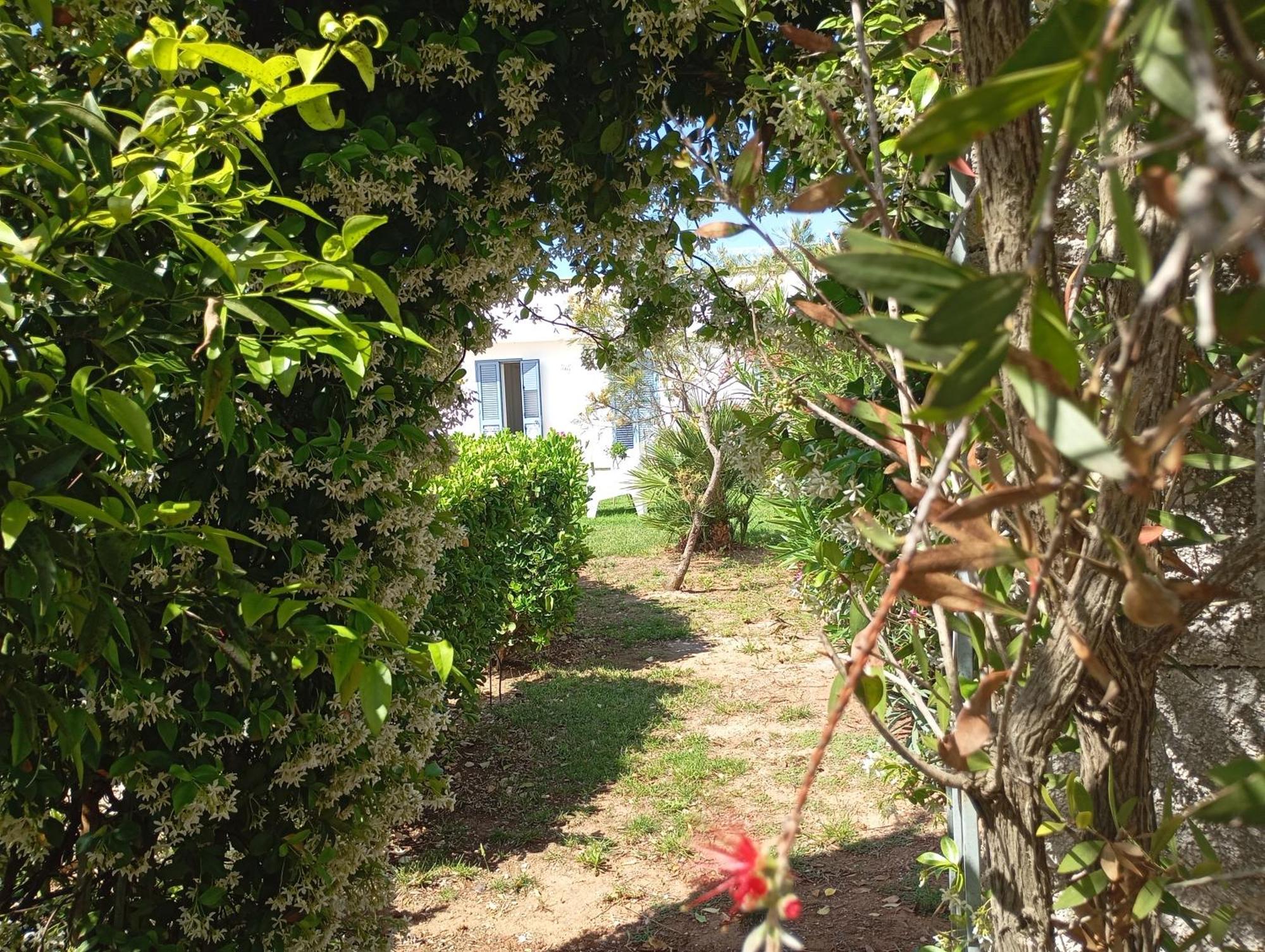 Li Curti B&B Melissano Exterior photo