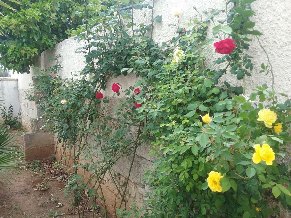 Li Curti B&B Melissano Exterior photo