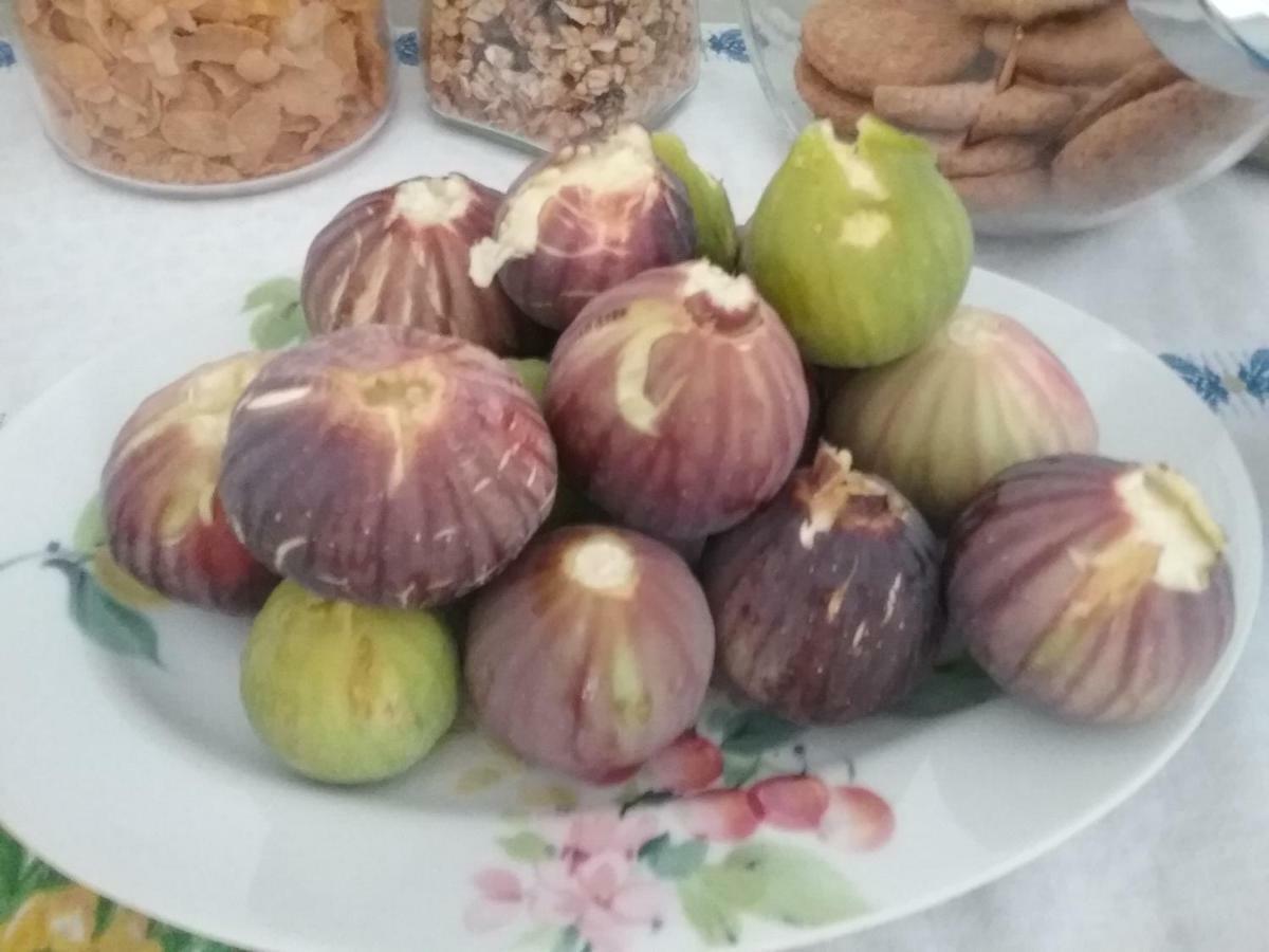 Li Curti B&B Melissano Exterior photo