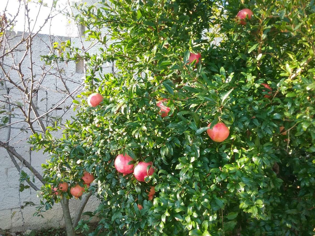 Li Curti B&B Melissano Exterior photo