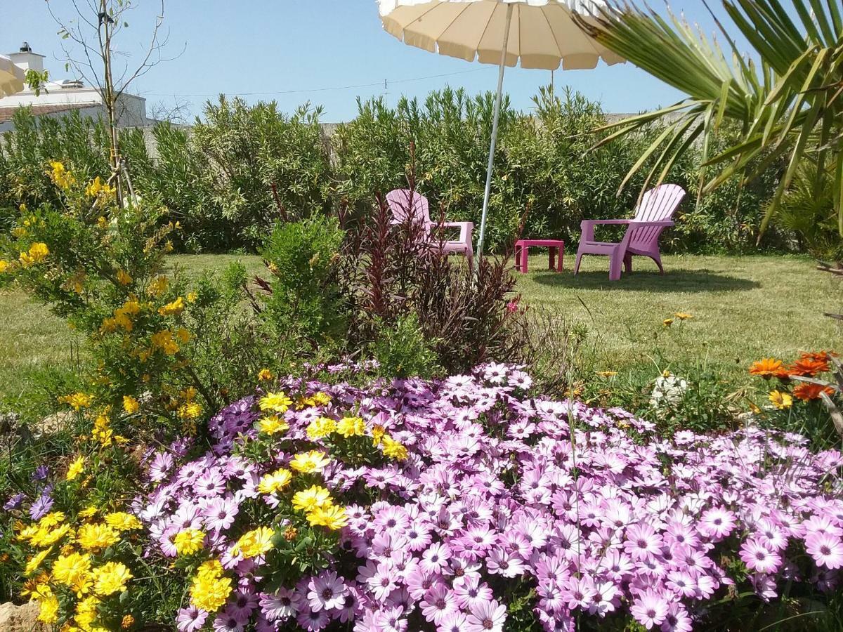 Li Curti B&B Melissano Exterior photo